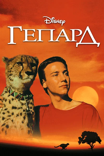 Постер: Гепард